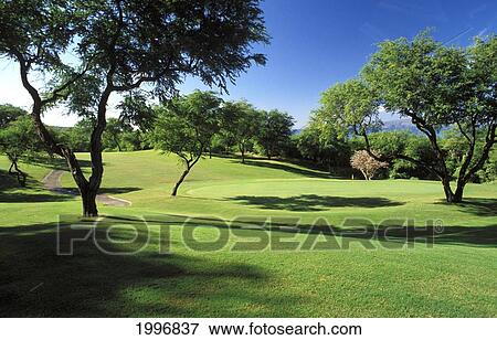 Stock Photo - Hawaii, Maui, Wailea Golf Course, Scenic. Fotosearch