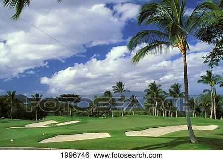 Stock Photograph - Hawaii, Maui, Wailea Golf Course, Orange Course, Green Surrounded With Sand Traps, Palm Trees. Fotosearch