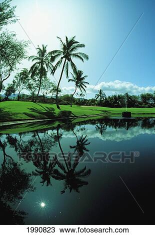 Hawaii, Maui, Wailea Resort, Blue Course View Large Photo Image Stock Image - Hawaii, Maui, Wailea Resort, Blue Course. Fotosearch