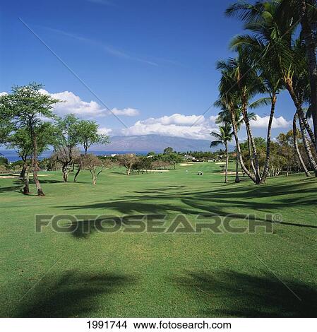 Picture - Hawaii, Maui, Wailea Resort Golf Club, Blue Course, #6 Hole. Fotosearch