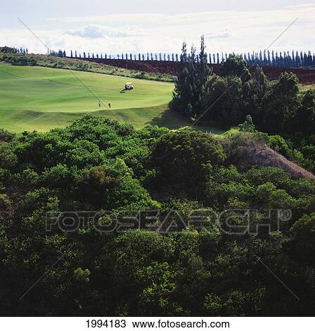 Stock Image - Hawaii, Maui, Wailea Resort Golf Course, Blue Course, Golfers And Golfcart In Distance.. Fotosearch
