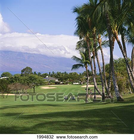 Stock Image - Hawaii, Maui, Wailea Resort Golf Course, Blue Course, Golfers And Golfcart In Distance.. Fotosearch