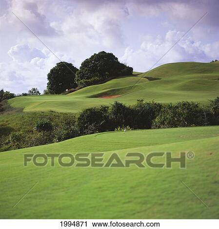 Stock Image - Hawaii, Maui, Wailea Resort Golf Course, Blue Course, Rolling Green Hills.. Fotosearch