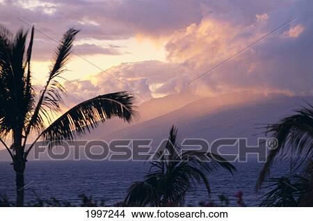 Hawaii, Maui, Wailea, Sunset Over West Maui Mountains, Ocean Palms Pink Clouds A46B View Large Photo Image Picture - Hawaii, Maui, Wailea, Sunset Over West Maui Mountains, Ocean Palms Pink Clouds A46B. Fotosearch