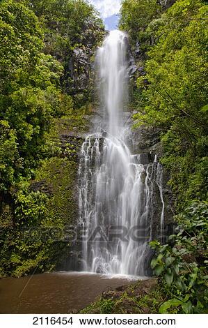 Picture - Hawaii, Maui, Wailua Falls, Large falls with lush foliage.. Fotosearch