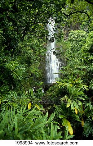 Hawaii, Maui, Wailua Falls, Lush Greenery B1610 View Large Photo Image Picture - Hawaii, Maui, Wailua Falls, Lush Greenery B1610. Fotosearch