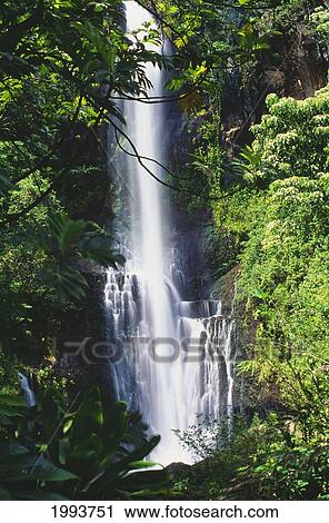 Stock Image - Hawaii, Maui, Wailua Falls Valley, One Large Fall And A Few Smaller Ones. Fotosearch