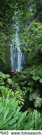 Stock Image - Hawaii, Maui, Wailua Falls, With Lush Greenery, Couple In Distance, Panoramic A20B. Fotosearch