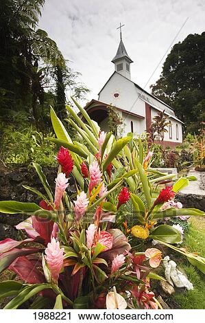 Stock Image - Hawaii, Maui, Wailua, St. Gabriel's Church, Also Known As The Coral Miracle Church And Our Lady Of Fatima Shrine. Fotosearch