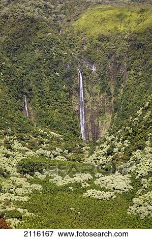 Stock Photo - Hawaii, Maui, Waimoku Falls and lush greenery.. Fotosearch