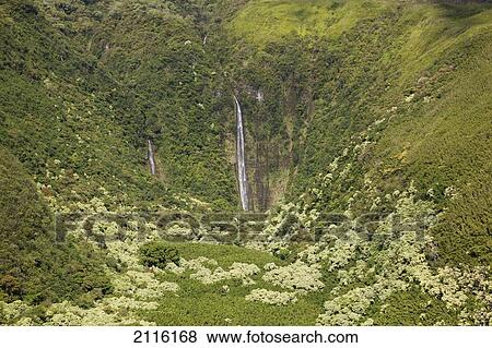 Stock Photo - Hawaii, Maui, Waimoku Falls and lush greenery.. Fotosearch