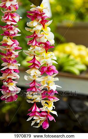 Hawaii, Maui, Wainapanapa, Lei And Fruit Stand View Large Photo Image Stock Photo - Hawaii, Maui, Wainapanapa, Lei And Fruit Stand. Fotosearch