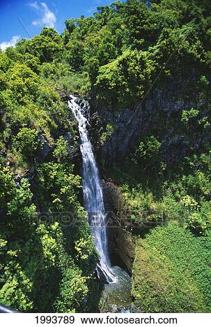 Hawaii, Maui, Waterfall Along Slopes Of Haleakala Above Huelo. View Large Photo Image Stock Photo - Hawaii, Maui, Waterfall Along Slopes Of Haleakala Above Huelo.. Fotosearch