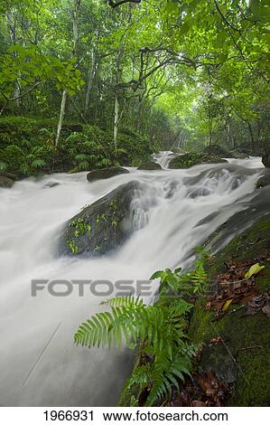 Stock Image - Hawaii, Maui, Waterfall Near Lush Waihe'e Valley. Fotosearch