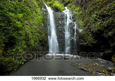 Hawaii, Maui, Waterfall Near Lush Waihe'e Valley View Large Photo Image Stock Image - Hawaii, Maui, Waterfall Near Lush Waihe'e Valley. Fotosearch