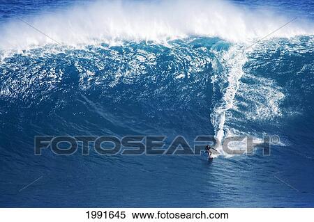 Hawaii, Maui, Yuri Farrant Surfs Huge Wave At Jaws, Aka Peahi. View Large Photo Image Stock Photography - Hawaii, Maui, Yuri Farrant Surfs Huge Wave At Jaws, Aka Peahi.. Fotosearch