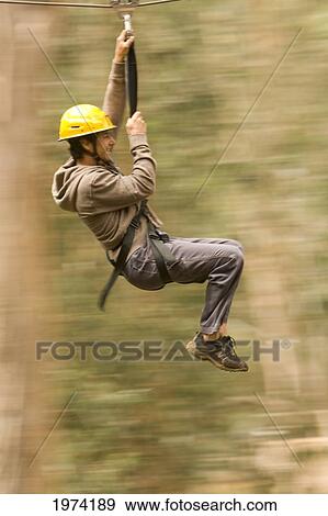 Hawaii, Maui, Zipline Adventure, Man Riding The Zipline. View Large Photo Image Stock Photo - Hawaii, Maui, Zipline Adventure, Man Riding The Zipline.. Fotosearch