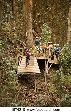 Stock Image - Hawaii, Maui, Zipline Adventure.. Fotosearch