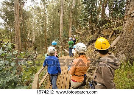 Stock Image - Hawaii, Maui, Zipline Adventure.. Fotosearch
