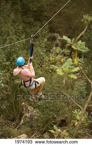 Hawaii, Maui, Zipline Adventure, Woman Riding The Zipline. View Large Photo Image Stock Image - Hawaii, Maui, Zipline Adventure, Woman Riding The Zipline.. Fotosearch