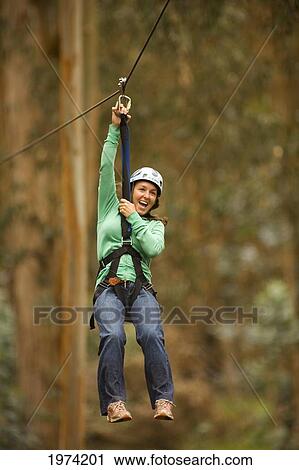 Stock Image - Hawaii, Maui, Zipline Adventure, Woman Riding The Zipline.. Fotosearch