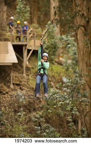 Hawaii, Maui, Zipline Adventure, Woman Riding The Zipline. View Large Photo Image Stock Image - Hawaii, Maui, Zipline Adventure, Woman Riding The Zipline.. Fotosearch