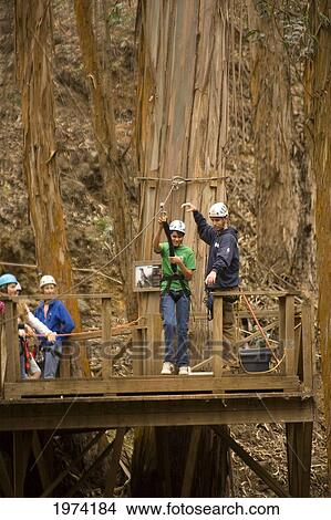 Picture - Hawaii, Maui, Zipline Adventure, Young Boy Getting Ready To Ride The Zipline.. Fotosearch