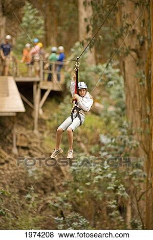 Hawaii, Maui, Zipline Adventure, Young Girl On The Line. View Large Photo Image Stock Photo - Hawaii, Maui, Zipline Adventure, Young Girl On The Line.. Fotosearch
