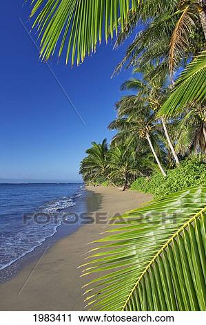 Hawaii, Molokai, A Small Deserted Beach On The South Shore, Lanai In The Background. View Large Photo Image Stock Image - Hawaii, Molokai, A Small Deserted Beach On The South Shore, Lanai In The Background.. Fotosearch