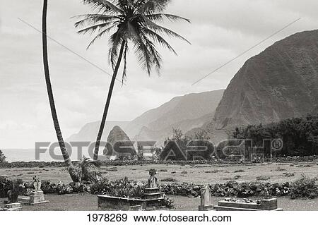 Stock Photo - Hawaii, Molokai, Kalaupapa, Graveyard And Palms (Sepia Photograph).. Fotosearch
