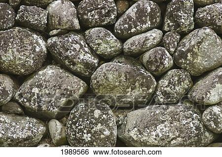 Hawaii, Molokai, Kalaupapa National Historic Site, St. Francis Church, Close-Up Of Lava Rock Wall. View Large Photo Image Stock Photograph - Hawaii, Molokai, Kalaupapa National Historic Site, St. Francis Church, Close-Up Of Lava Rock Wall.. Fotosearch