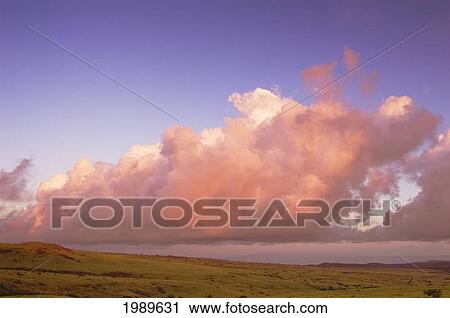 Stock Image - Hawaii, Molokai, Maunaloa, Molokai Ranch, Pink Clouds Over Pasture At Sunrise.. Fotosearch