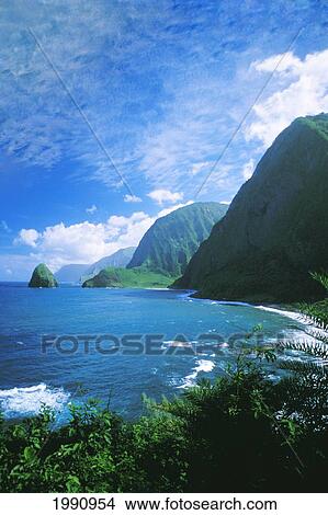 Picture - Hawaii, Molokai, North Shore, Cliffs, Palm Trees. Fotosearch