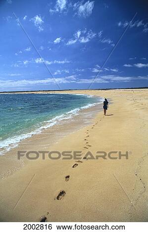 Hawaii, Niihau, View Of Woman Walking Along Beach, Gentle Turquoise Shore Waters, Blue Sky, Footprints In Sand View Large Photo Image Stock Photograph - Hawaii, Niihau, View Of Woman Walking Along Beach, Gentle Turquoise Shore Waters, Blue Sky, Footprints In Sand. Fotosearch