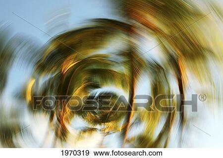 Stock Photo - Hawaii, Oahu, Abstract Image Of Blurred Palm Trees.. Fotosearch