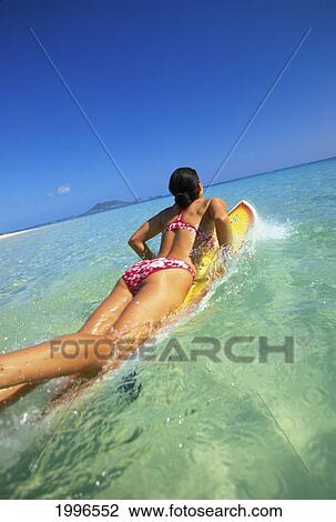 Hawaii, Oahu, Back View Of Woman On Surfboard Paddling Out At Lanikai Beach View Large Photo Image Stock Image - Hawaii, Oahu, Back View Of Woman On Surfboard Paddling Out At Lanikai Beach. Fotosearch