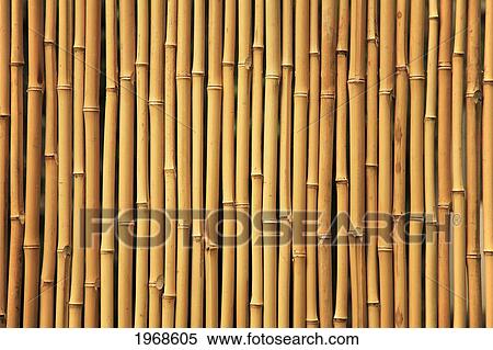 Stock Photography - Hawaii, Oahu, Bamboo Sticks Stacked In Line Together. Fotosearch