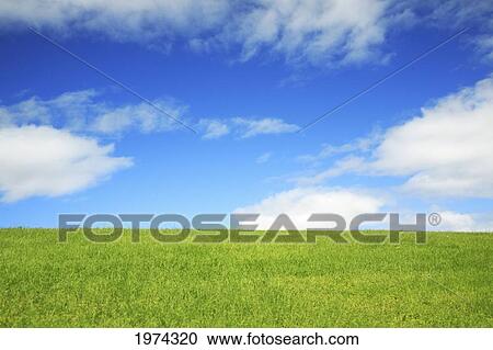 Stock Image - Hawaii, Oahu, Beautiful Landscape Of Green Grass And A Blue Sky.. Fotosearch