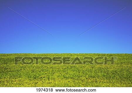 Stock Photo - Hawaii, Oahu, Beautiful Landscape Of Green Grass And A Blue Sky.. Fotosearch