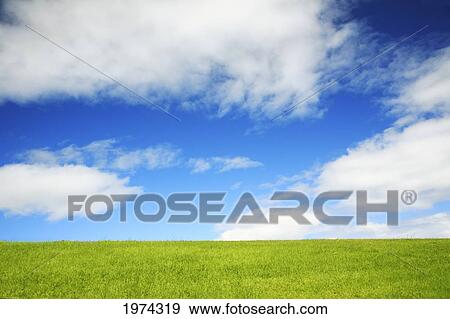 Stock Photo - Hawaii, Oahu, Beautiful Landscape Of Green Grass And A Blue Sky.. Fotosearch