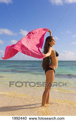 Hawaii, Oahu, Beautiful Local Girl Standing In The Ocean At A Tropical Beach, Holding A Pink Pareo. View Large Photo Image Stock Image - Hawaii, Oahu, Beautiful Local Girl Standing In The Ocean At A Tropical Beach, Holding A Pink Pareo.. Fotosearch