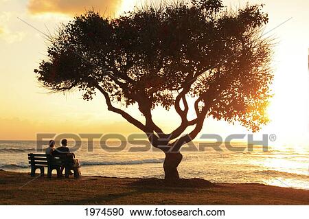 Hawaii, Oahu, Beautiful Sunset Over The Ocean With A Couple Sitting On A Bench. View Large Photo Image Stock Image - Hawaii, Oahu, Beautiful Sunset Over The Ocean With A Couple Sitting On A Bench.. Fotosearch