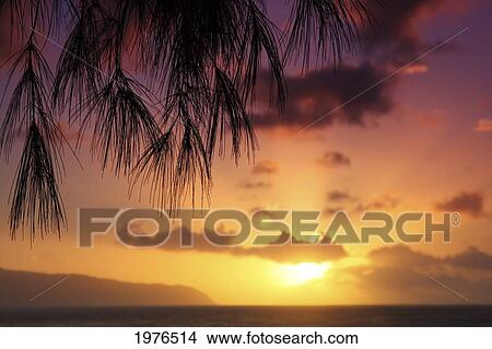 Picture - Hawaii, Oahu, Beautiful Sunset.. Fotosearch