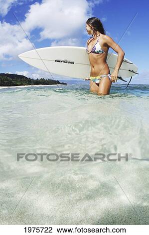 Stock Image - Hawaii, Oahu, Beautiful Surfer Girl In The Ocean.. Fotosearch