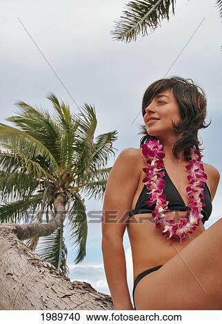 Stock Image - Hawaii, Oahu, Beautiful Woman Wearing Lei Sits On A Palm Tree Looking To The Side.. Fotosearch