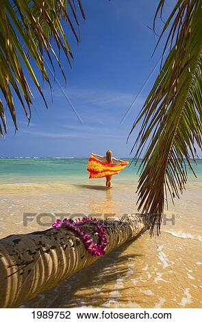 Hawaii, Oahu, Beautiful Young Woman In Water Holding A Bright Pareo On A Tropical Beach View Large Photo Image Stock Image - Hawaii, Oahu, Beautiful Young Woman In Water Holding A Bright Pareo On A Tropical Beach. Fotosearch