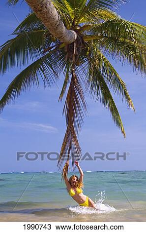 Hawaii, Oahu, Beautiful Young Woman Hanging On A Palm Frond In Water On A Tropical Beach View Large Photo Image Stock Image - Hawaii, Oahu, Beautiful Young Woman Hanging On A Palm Frond In Water On A Tropical Beach. Fotosearch