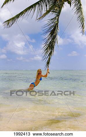 Stock Image - Hawaii, Oahu, Beautiful Young Woman Standing In The Ocean At A Tropical Beach, Holding Onto An Overhanging Palm Tree Frond.. Fotosearch