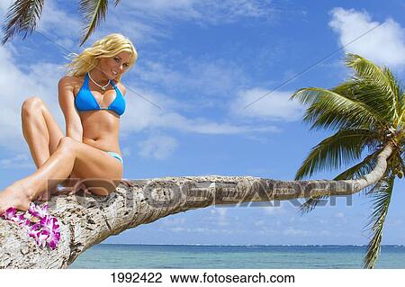Stock Image - Hawaii, Oahu, Beautiful Young Woman Sitting On The Trunk Of An Overhanging Palm Tree At A Tropical Beach With A Lay.. Fotosearch
