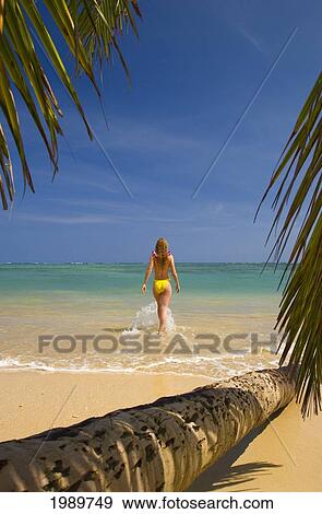 Stock Photo - Hawaii, Oahu, Beautiful Young Woman Walking Into Water On A Tropical Beach. Fotosearch